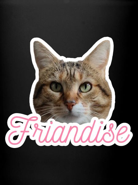 Missty friandise