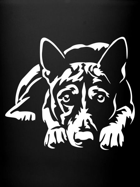 Basenji « Édition Noire »