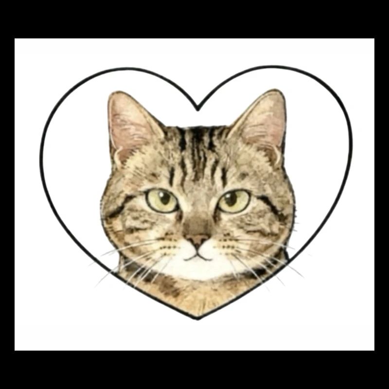 Cœur felin : portrait chat