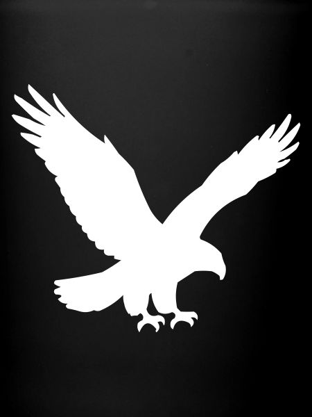 Silhouette d’aigle