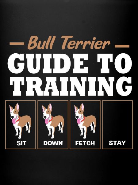 Bull terrier