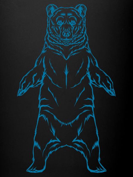 Braunbär