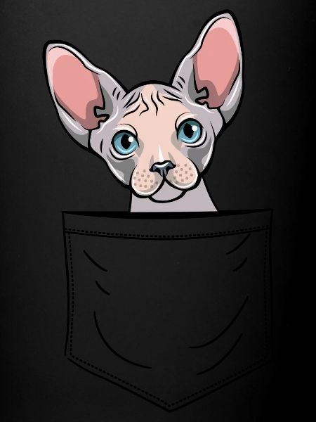 Sphynx Pocket, sphinx
