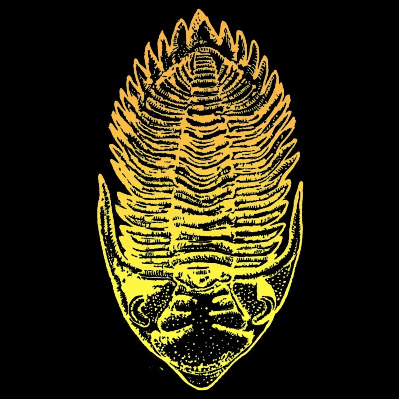 Metacanthina