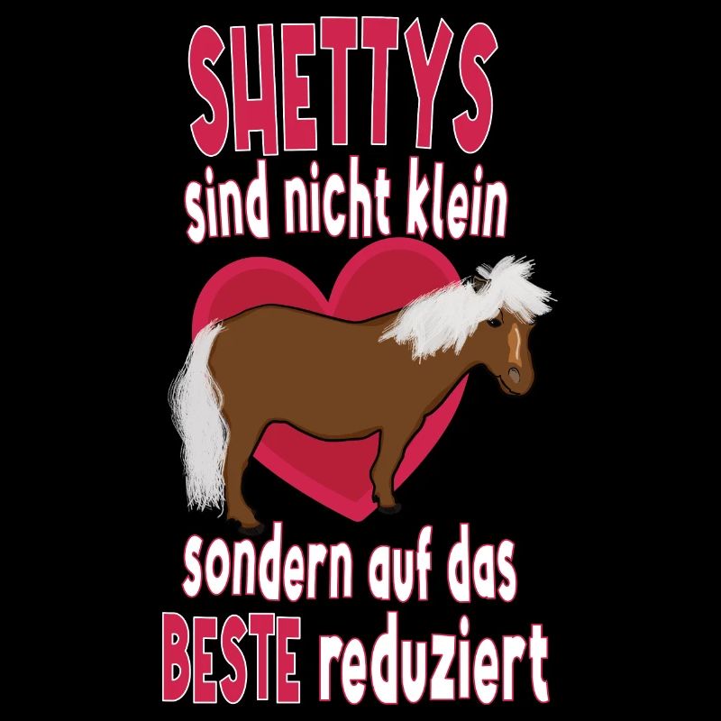 Shetland Pony Shetty