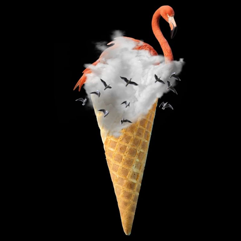 Flamingo Crème glacée Surréalisme
