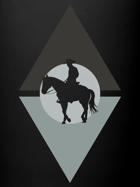 Cowboy Saddle Lasso