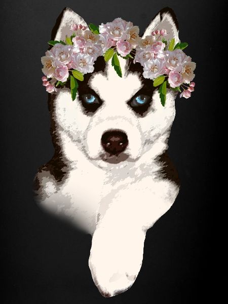 Husky avec couronne de fleurs