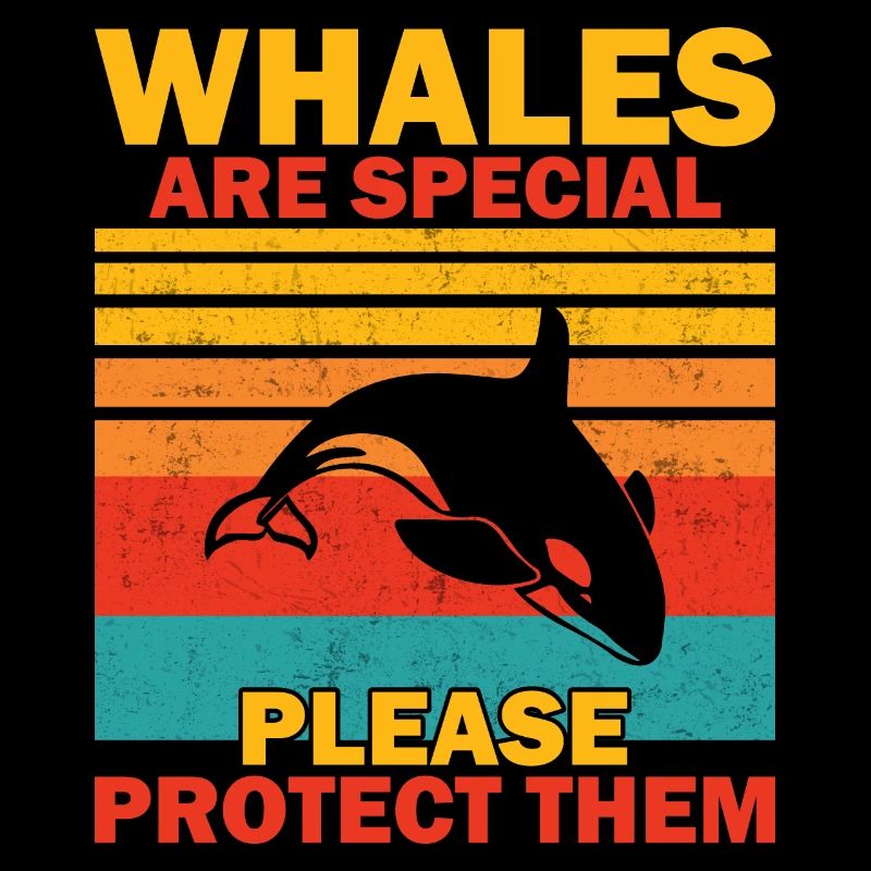 Orca Meeresbiologe Schwertwal Killerwal
