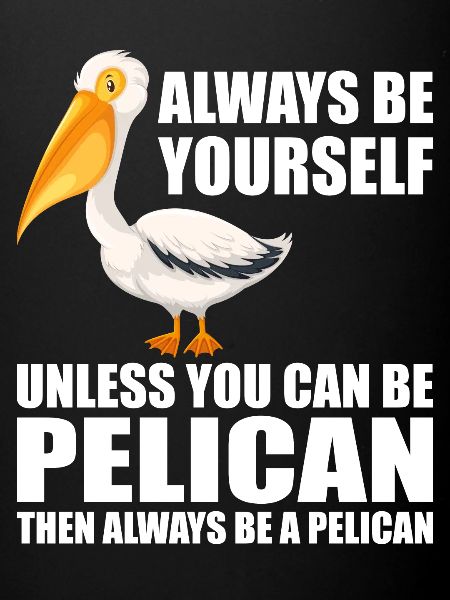 Pélican Pélicans Oiseaux Sauvagine