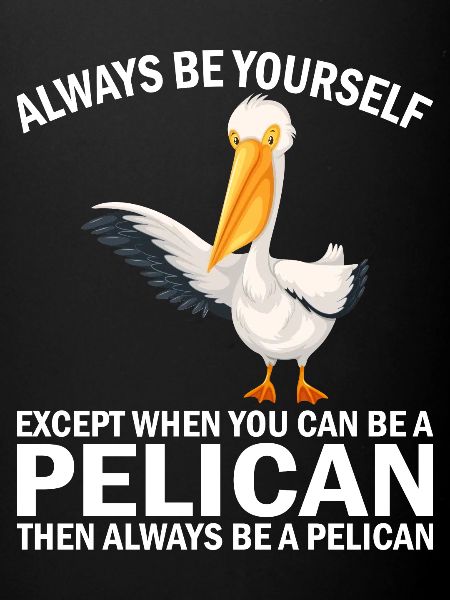 Pélican Pélicans Oiseaux Sauvagine