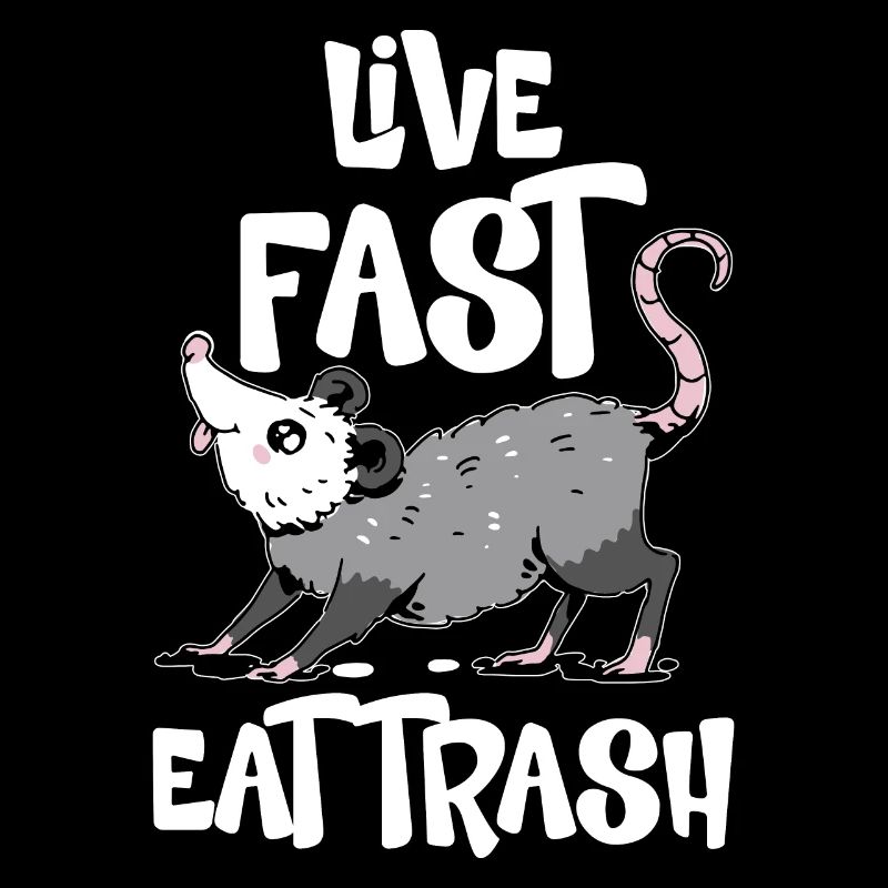 Opossum poubelle Opossum Rétro