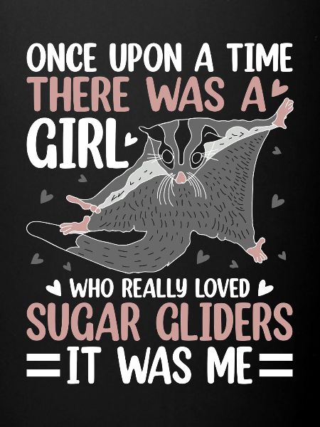 Sugar glider