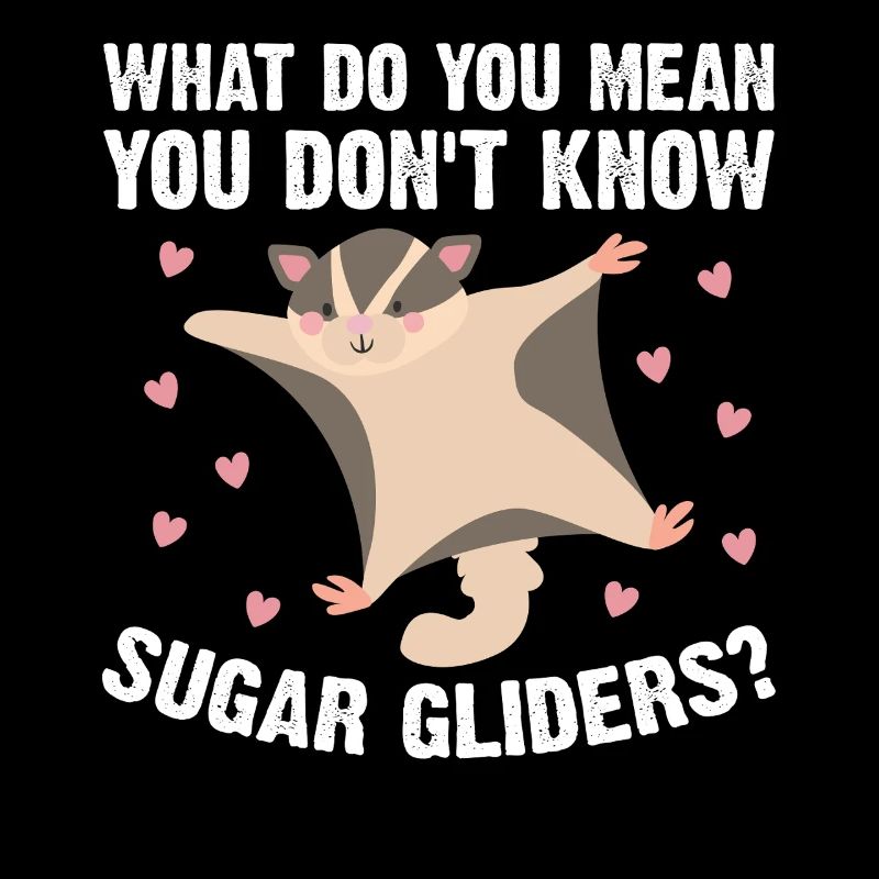 Sugar glider