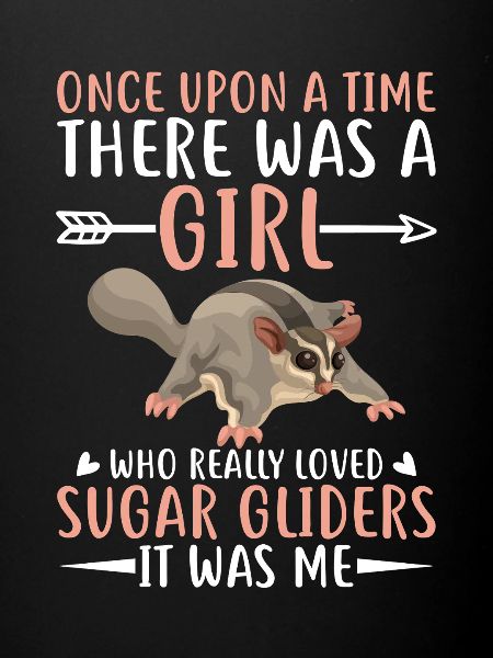 Sugar glider