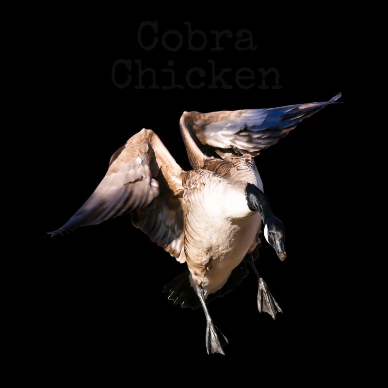 Drôle de poulet Cobra Oie Mauvais nom d’animal