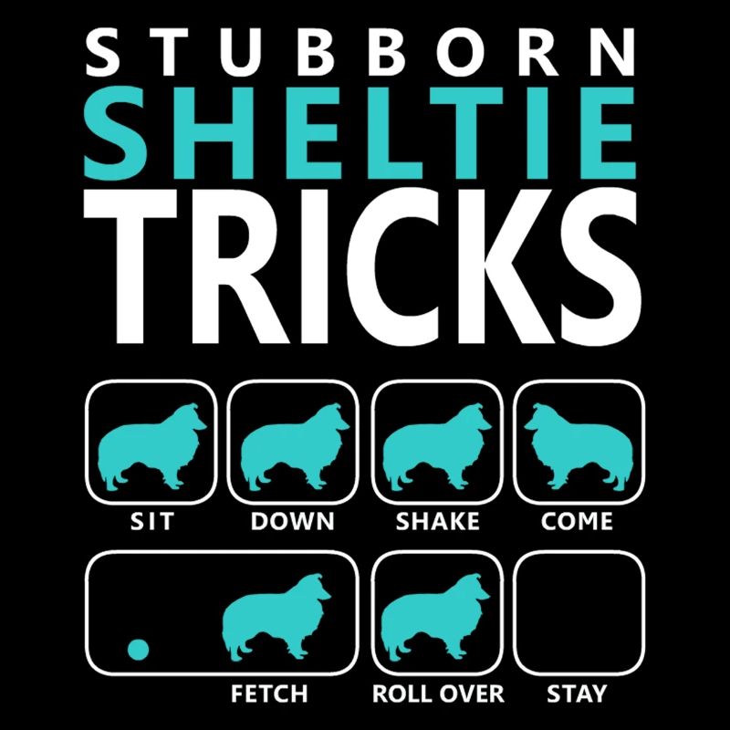 Astuces sheltie têtues