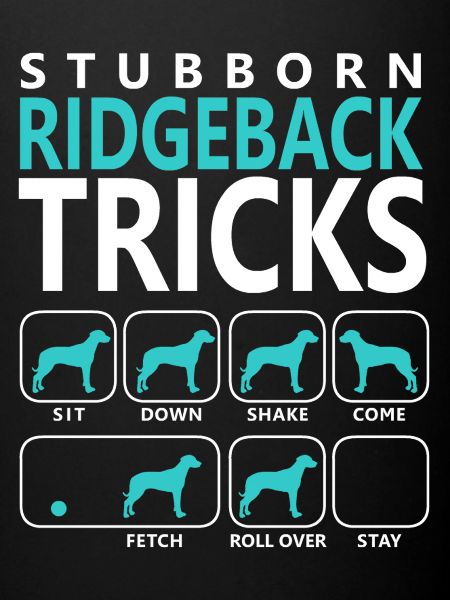 Astuces Ridgeback tenaces
