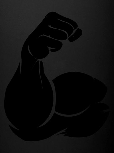 biceps