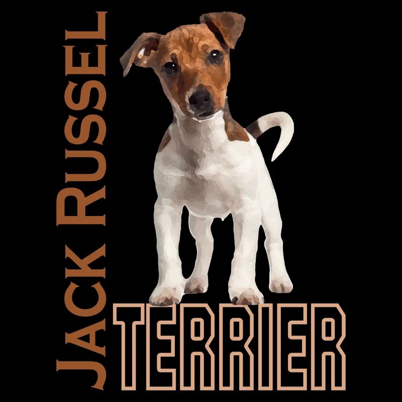 Jack Russell Terrier