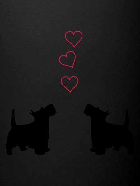 petits chiens