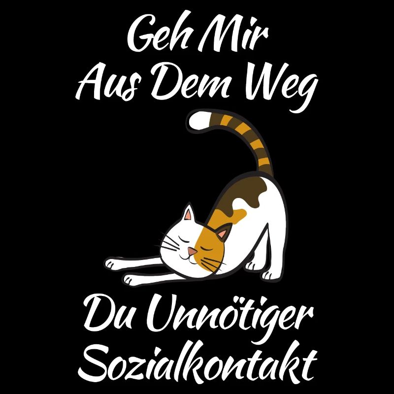 Katze Kater Katzen