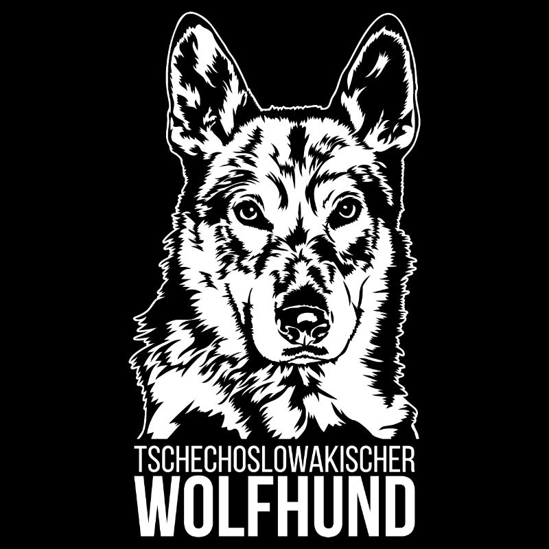 Tschechoslowakischer Wolfhund Portrait Wilsigns