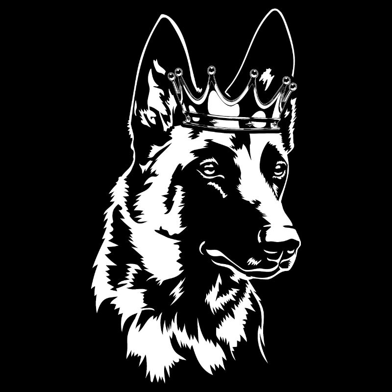 Chiens de la couronne malinois belges Chiens Wilsigns