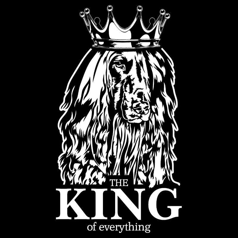 Afghan Hound King of everything Wilsigns