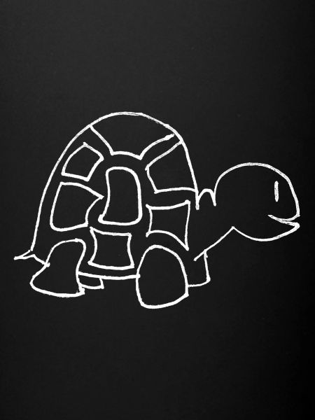 Turtle drawing (white)
