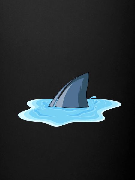 Flaque d'aileron de requin