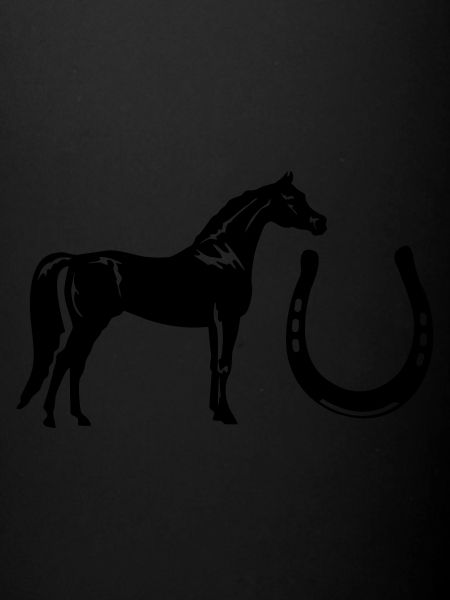 cheval fer à cheval