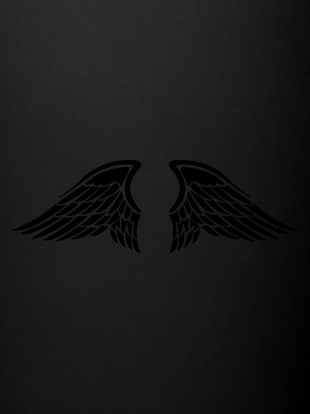 wing 01