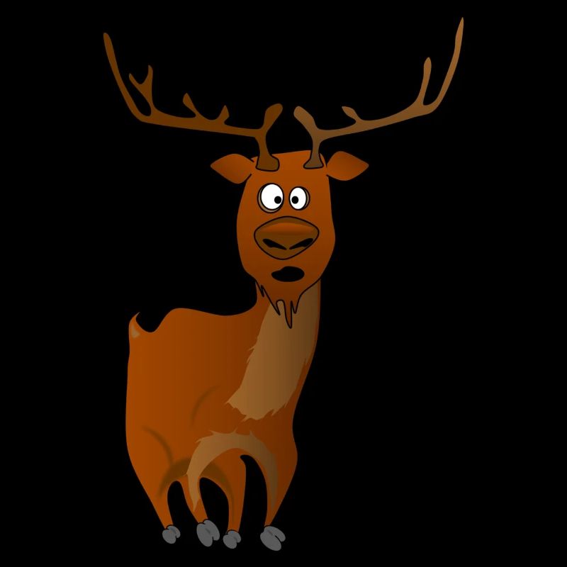 Reindeer