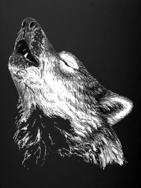 Loup