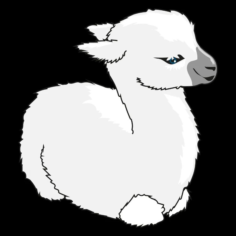 lama bebe