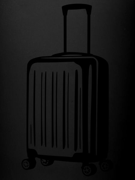 valise vectoriel
