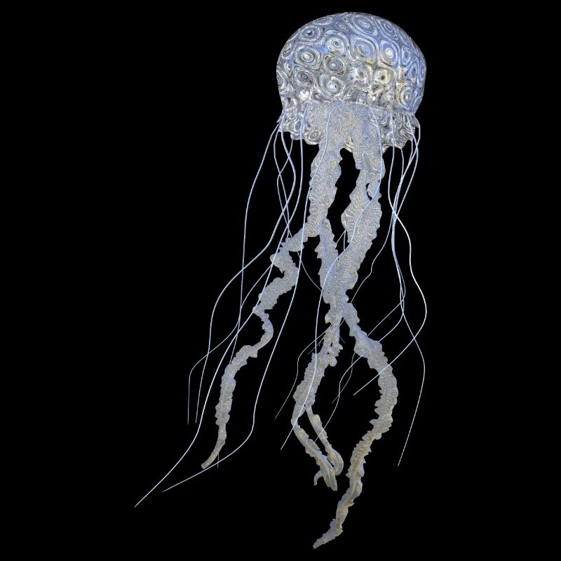 jellyfish