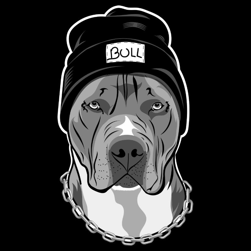 Pitbull Mein coolster Freund