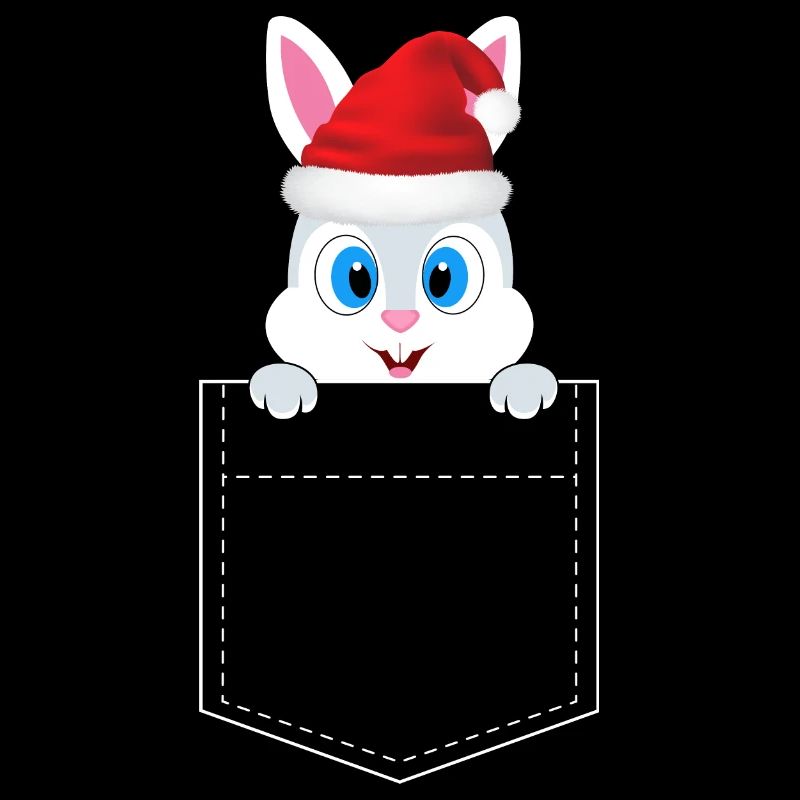 Lapin de Noël