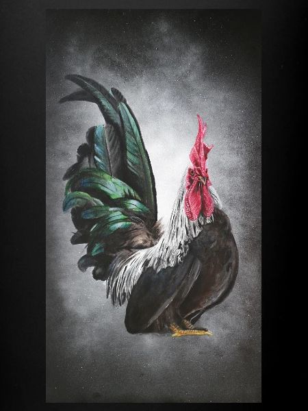 Coq coq le roi