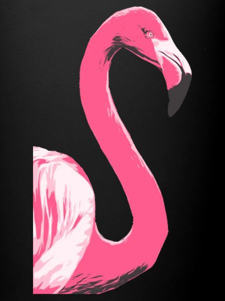 Flamingo Bird Illustration