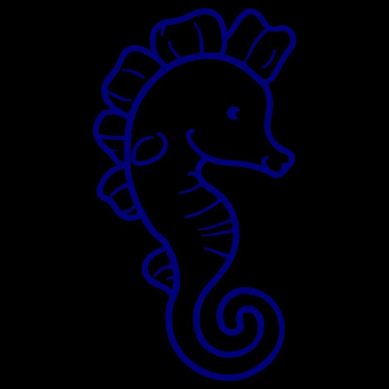 Seepferdchen