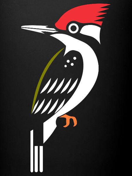 woodpecker
