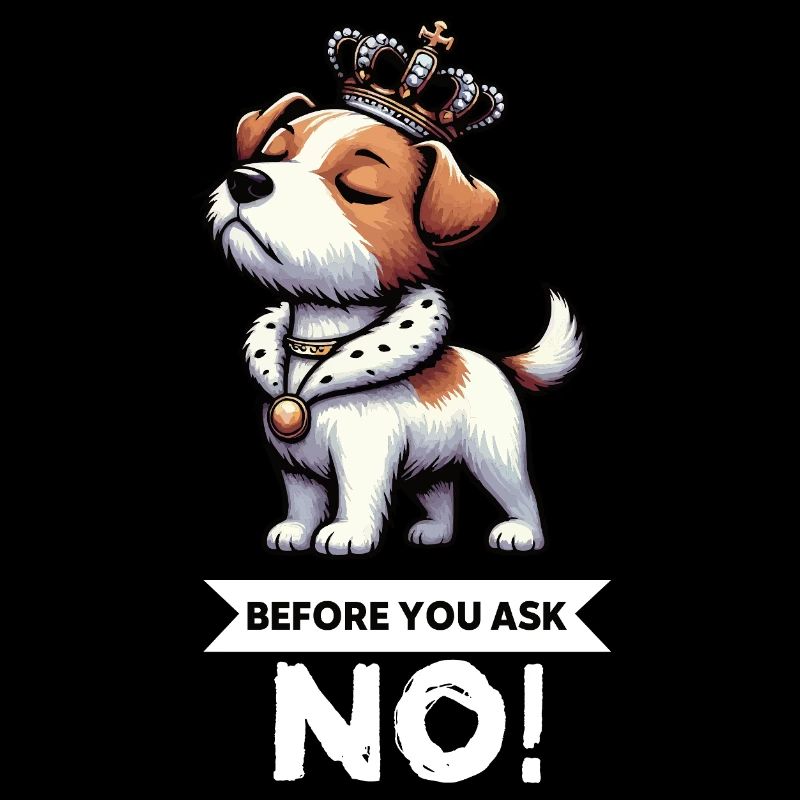 Before You Ask Jack Russel terrier Jack russel dog
