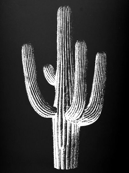 Cactus Brushstroke Silhouette