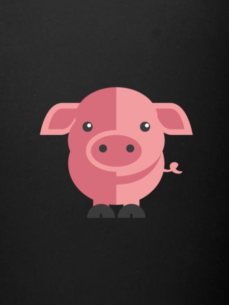 cochon