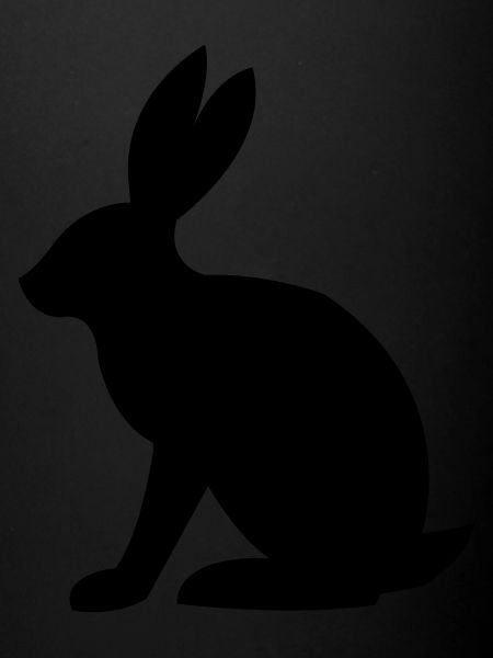Hare