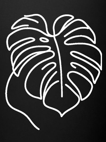 Monstera Line Art White