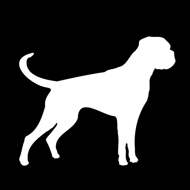 Boxer blanc